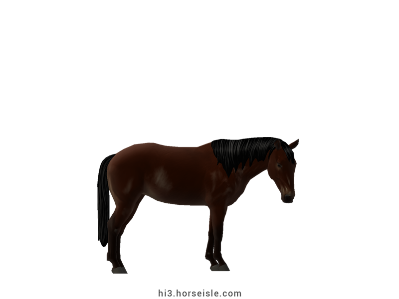 Messara Pony Dark Brown Coat (normal view)